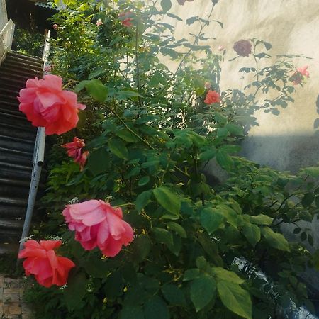 Bbq House Apartamento Dilijan Exterior foto