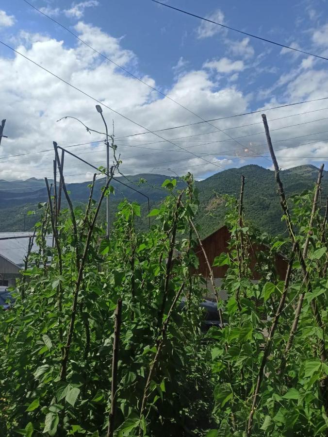 Bbq House Apartamento Dilijan Exterior foto
